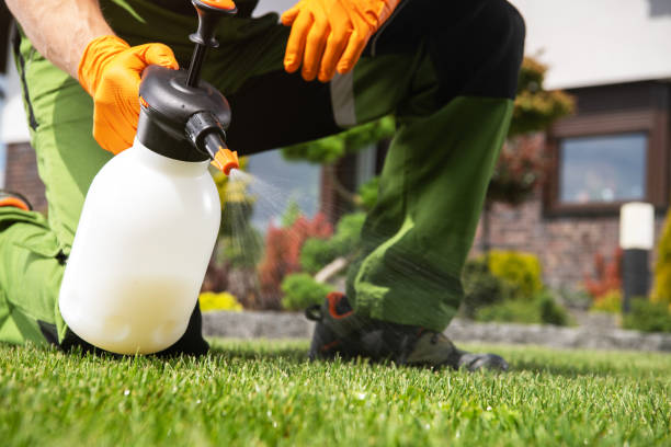 Pest Prevention Services in Holland, OH