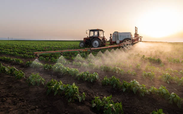 Best Mosquito Control Services  in Holland, OH