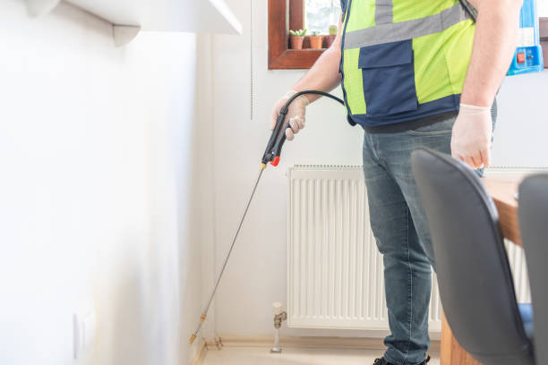 Best Local Pest Control Services  in Holland, OH